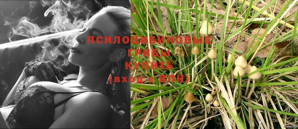крисы Алексеевка